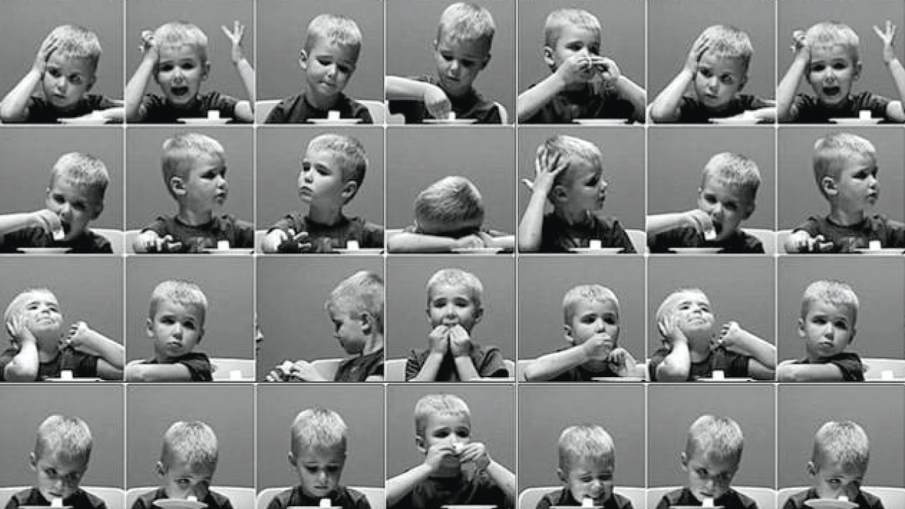 Omslag van het WRR-rapport Weten is nog geen doen uit 2015