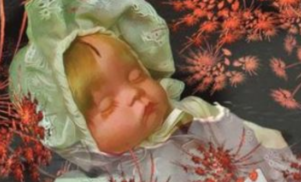 Omslag verhalenbundel Ophelia Omarmd van Mike Jansen